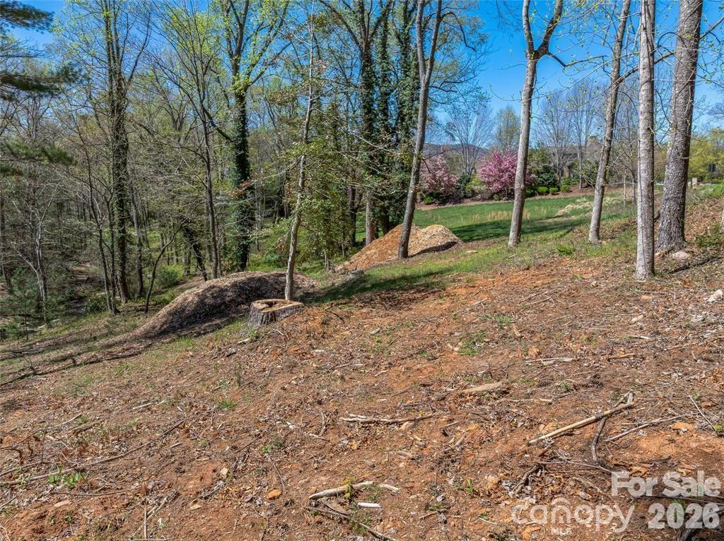 99999 Running Creek Trail #2 - Photo 13