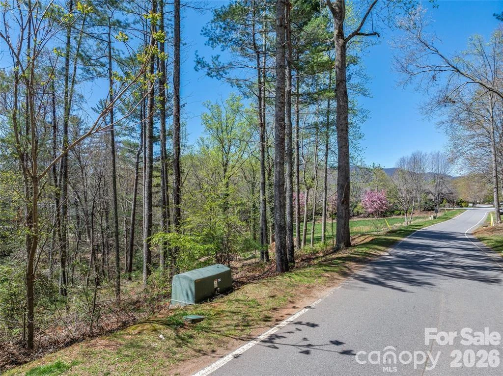 99999 Running Creek Trail #2 - Photo 15