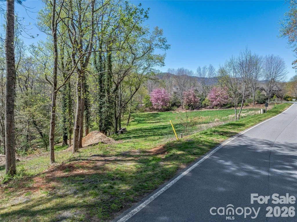 99999 Running Creek Trail #2 - Photo 18
