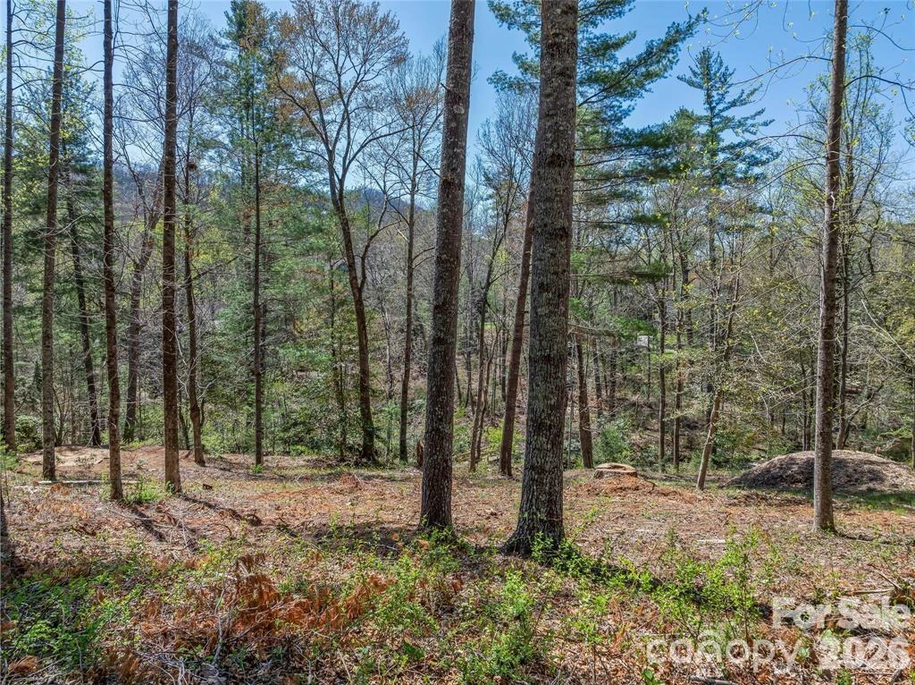 99999 Running Creek Trail #2 - Photo 19