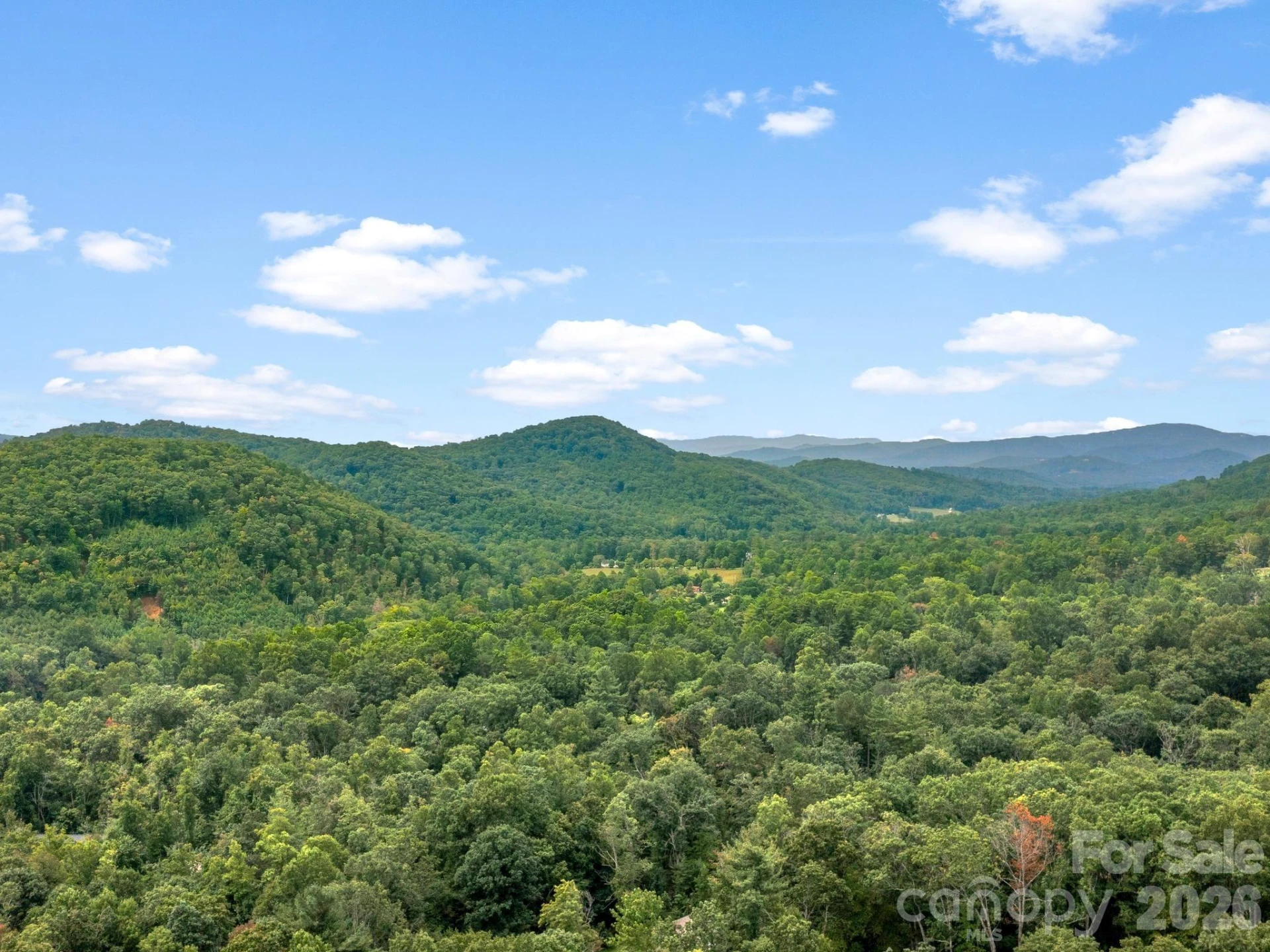 41 Bear Trail - Photo 35