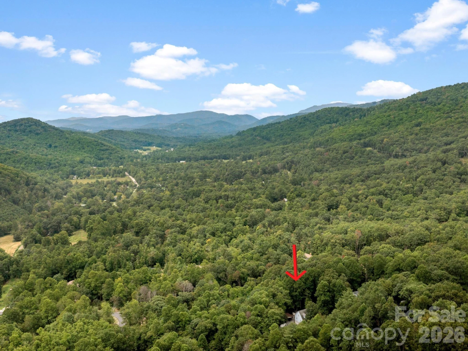 41 Bear Trail - Photo 38