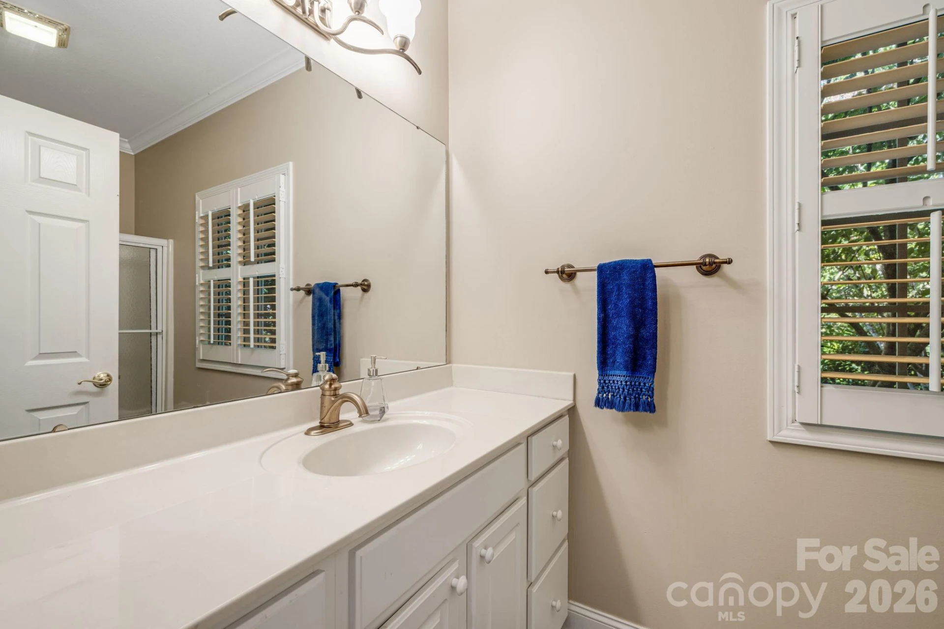 212 Carriage Springs Way - Photo 24