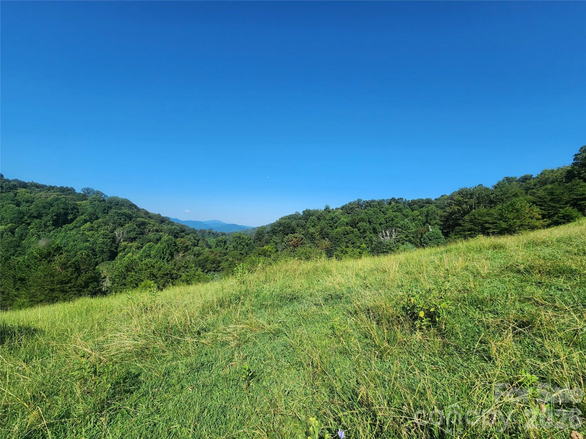 TBD Gid Flynn Road - Photo 3