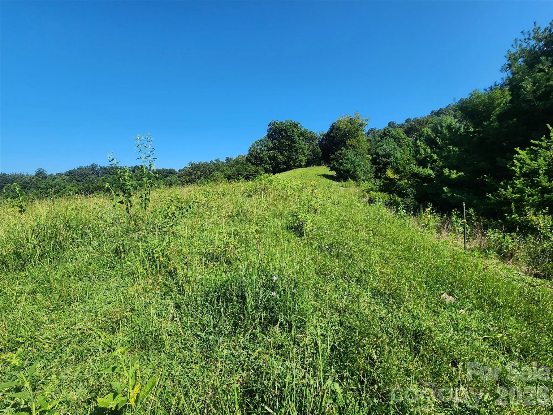 TBD Gid Flynn Road - Photo 6