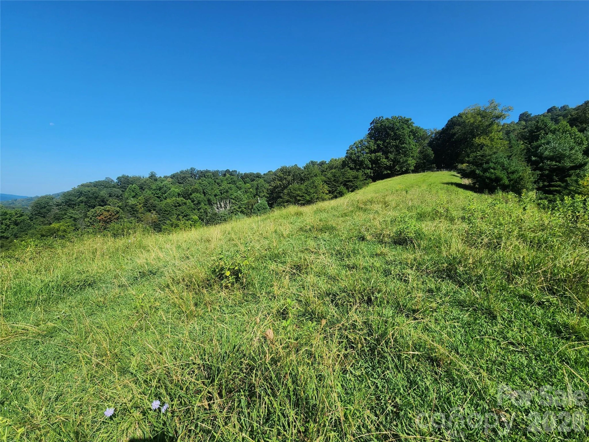 TBD Gid Flynn Road - Photo 8