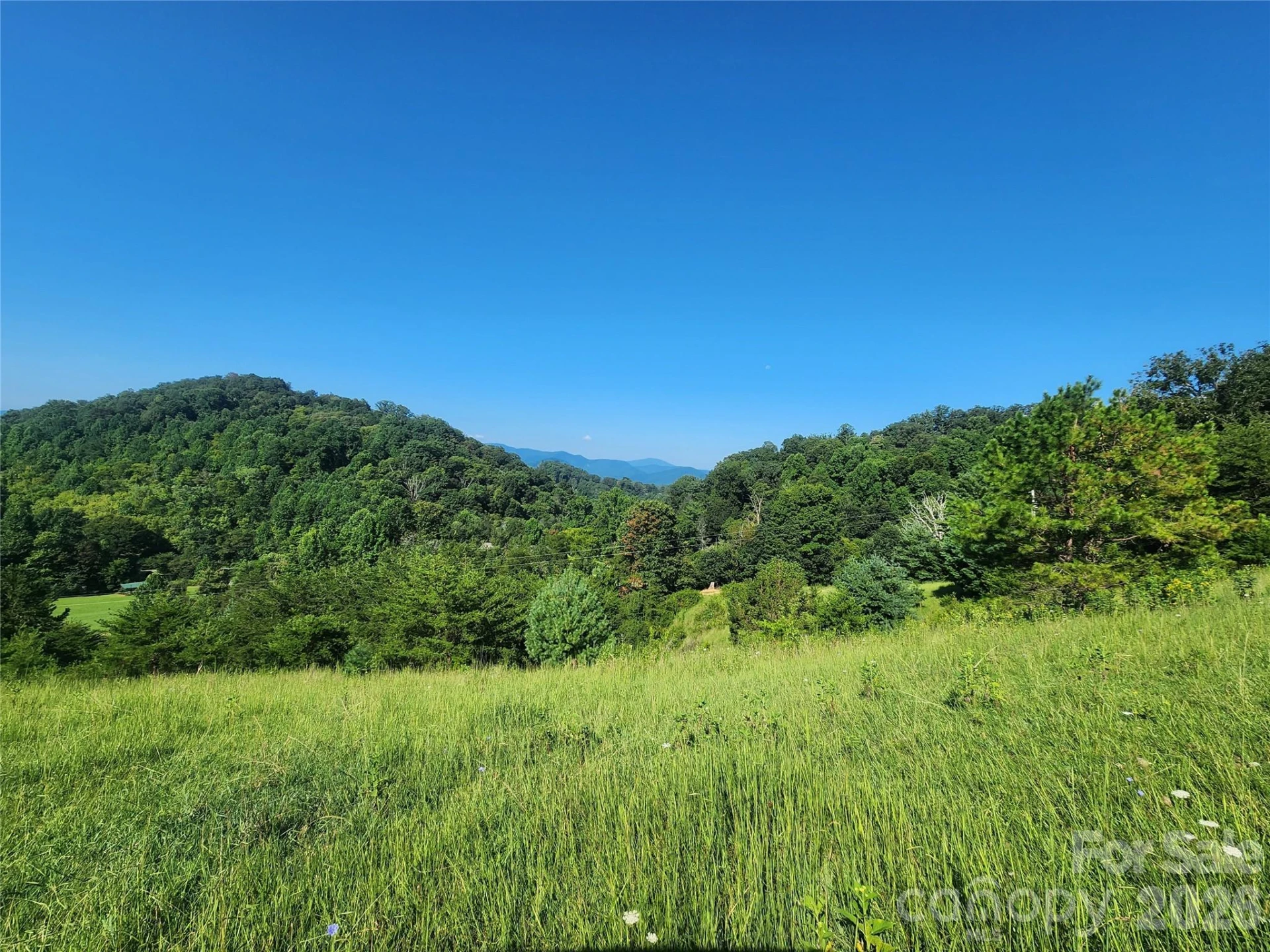 TBD Gid Flynn Road - Photo 9