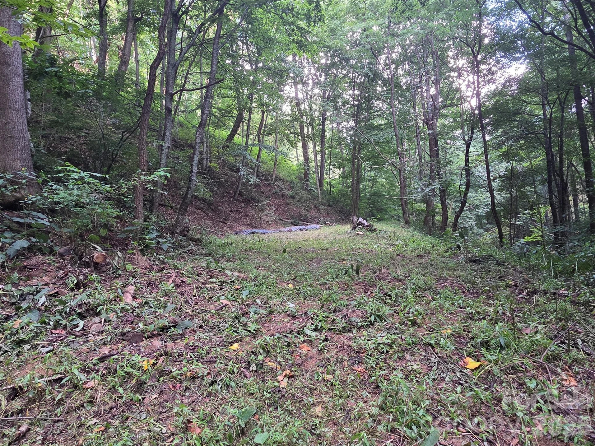 00 Creekside Drive - Photo 2