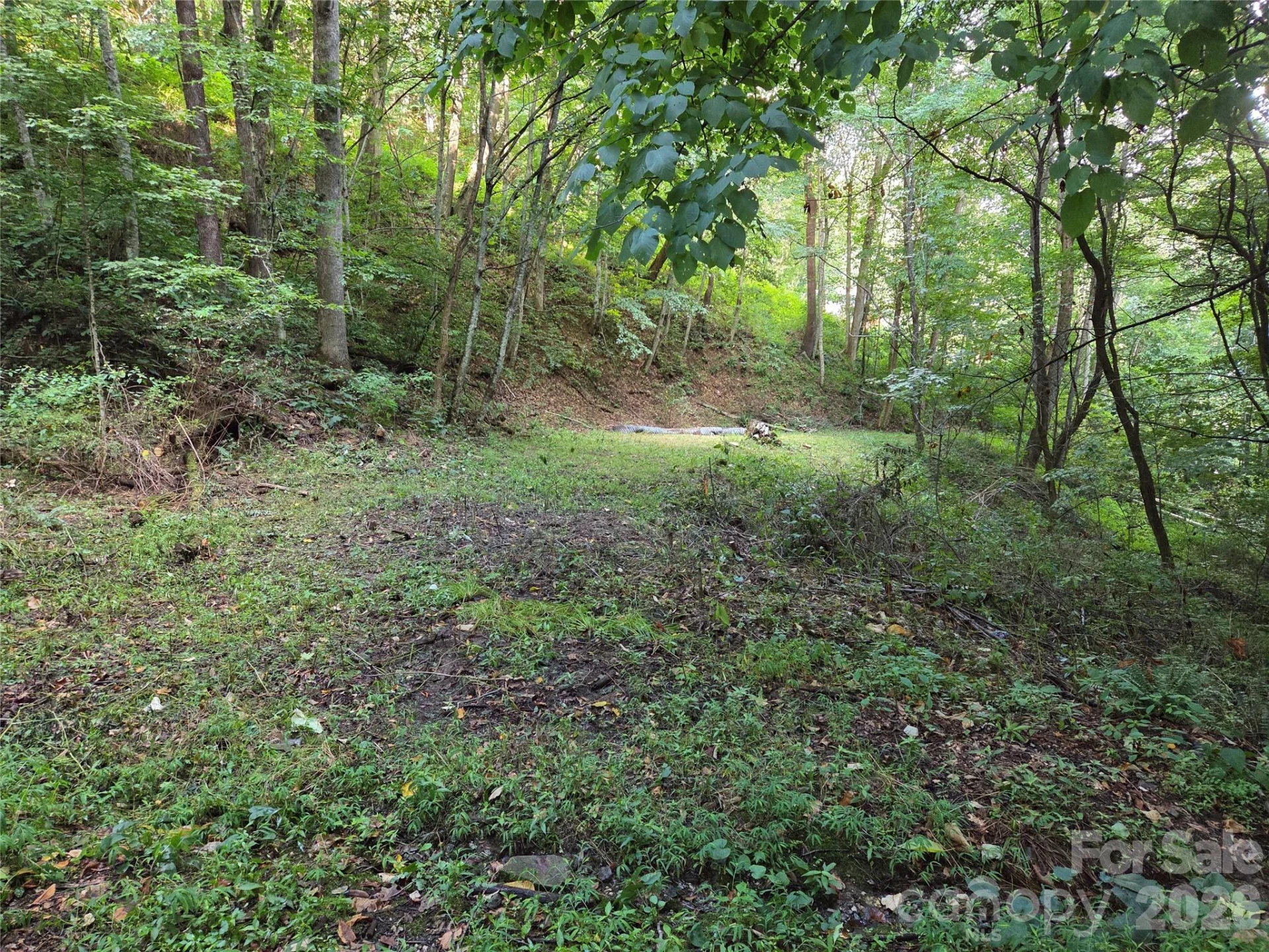 00 Creekside Drive - Photo 4