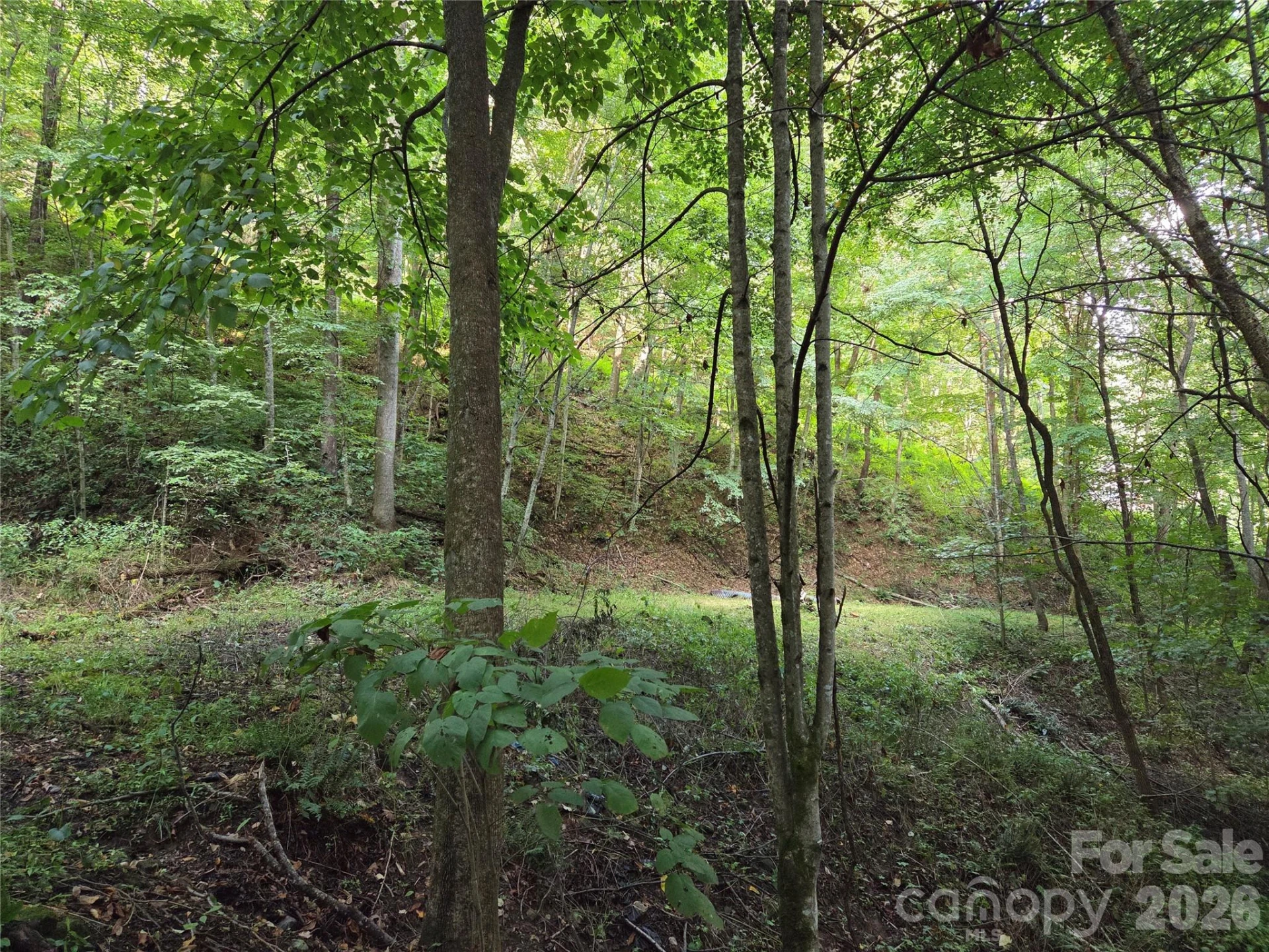 00 Creekside Drive - Photo 5