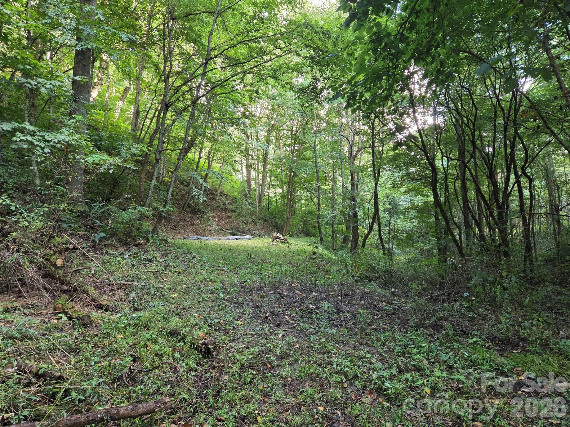 00 Creekside Drive - Photo 6
