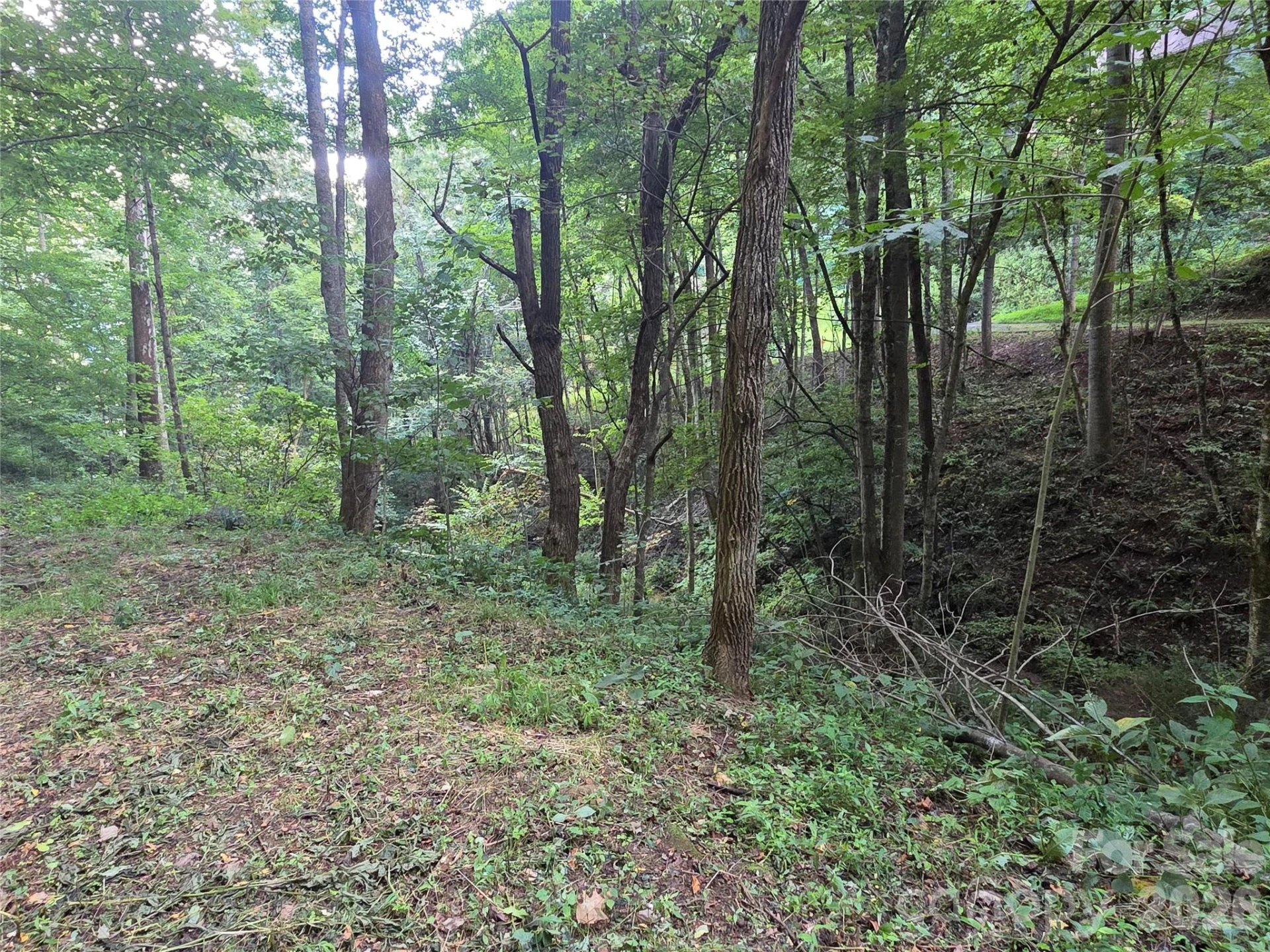00 Creekside Drive - Photo 7