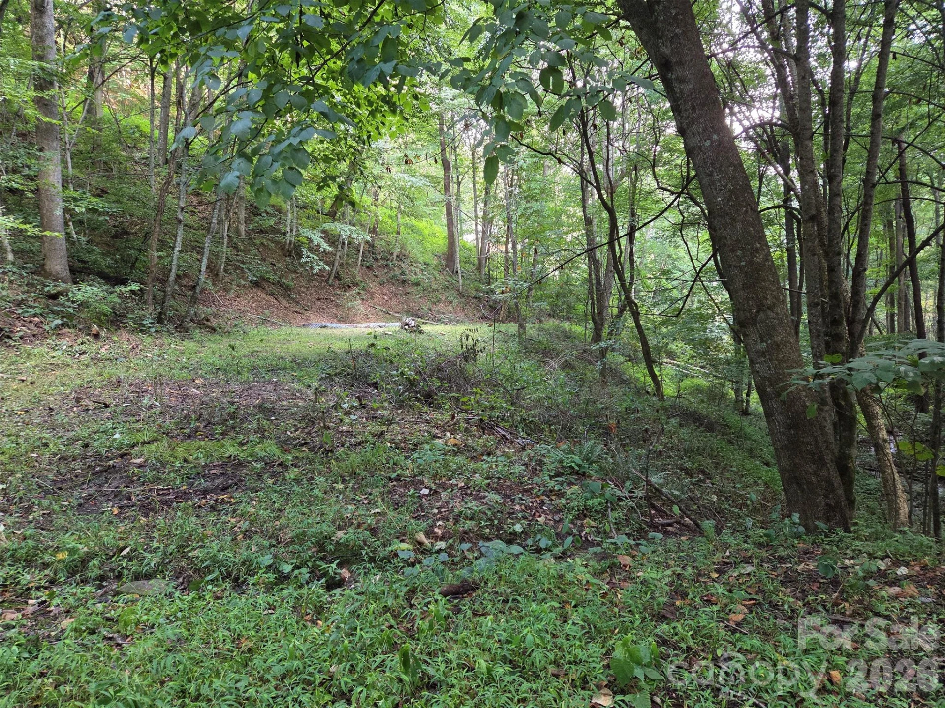 00 Creekside Drive - Photo 8