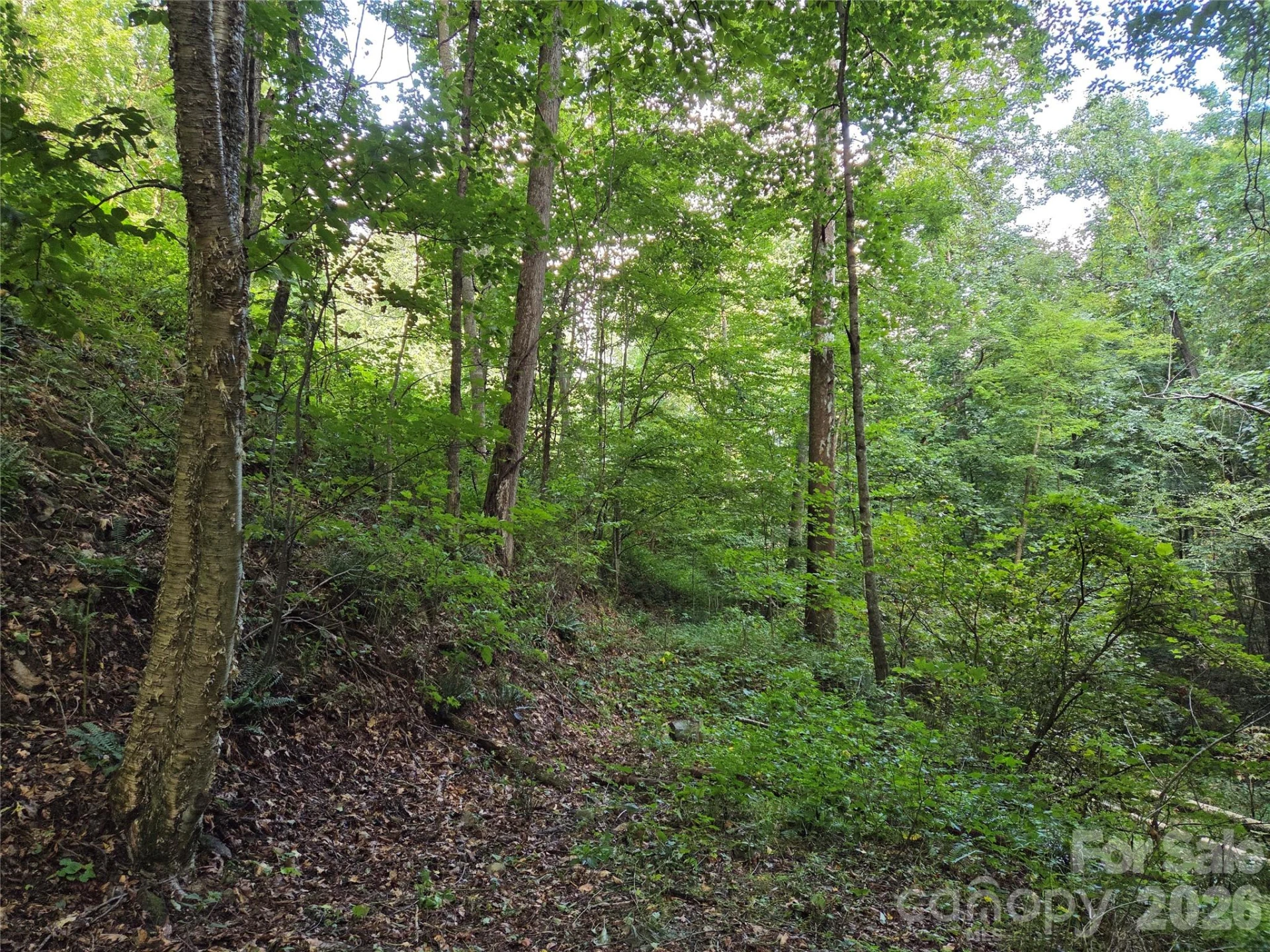 00 Creekside Drive - Photo 9