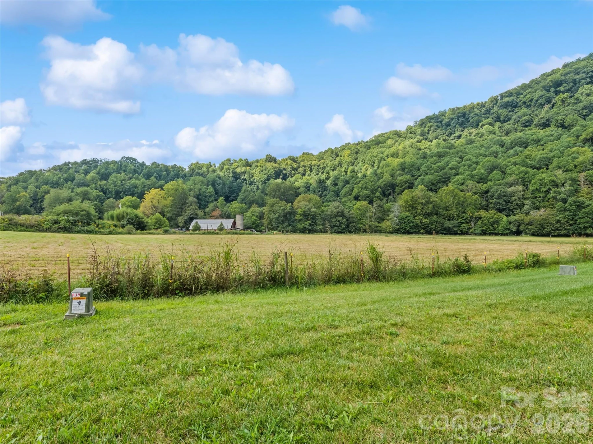 31 Clear Creek Lane - Photo 5
