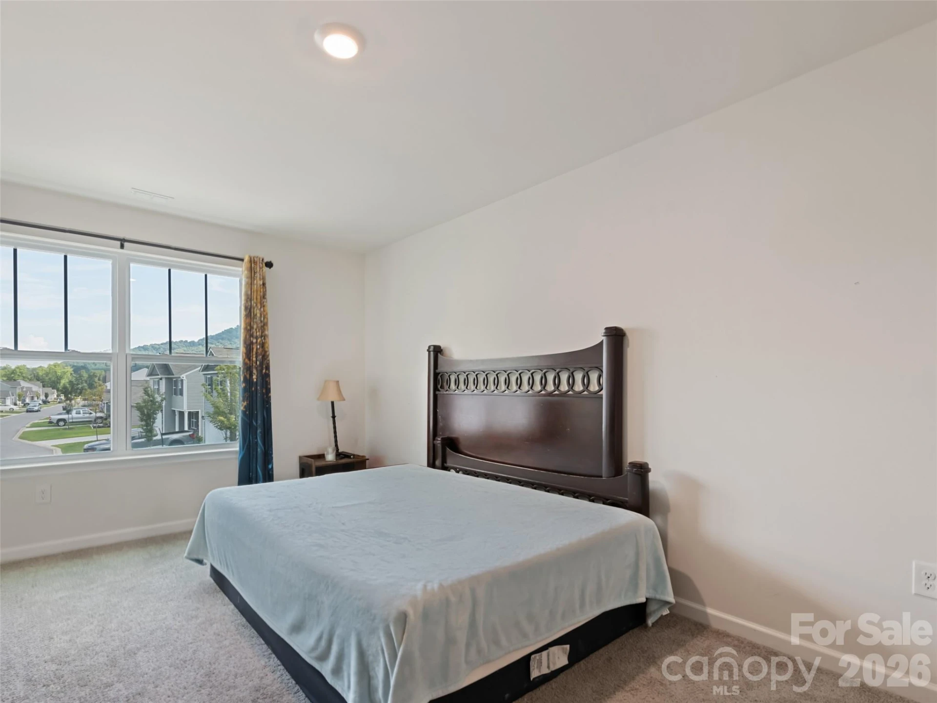 31 Clear Creek Lane - Photo 19