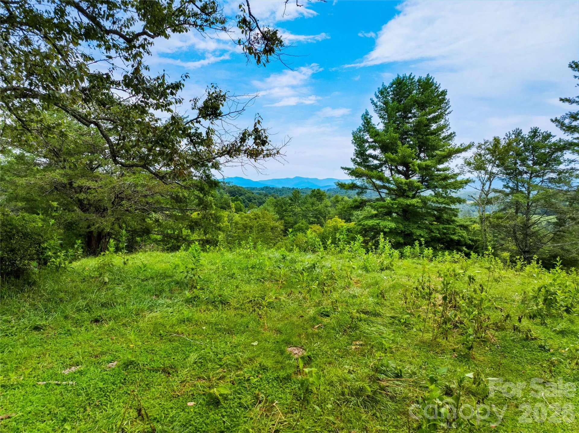 99999 Boulder Road - Photo 16