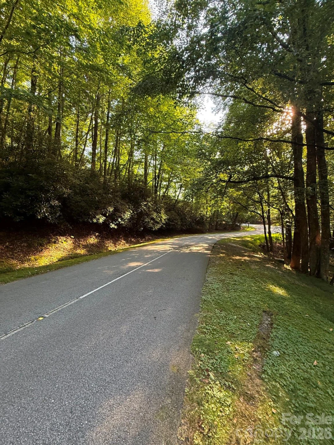 TBD Usdasdi Drive - Photo 7