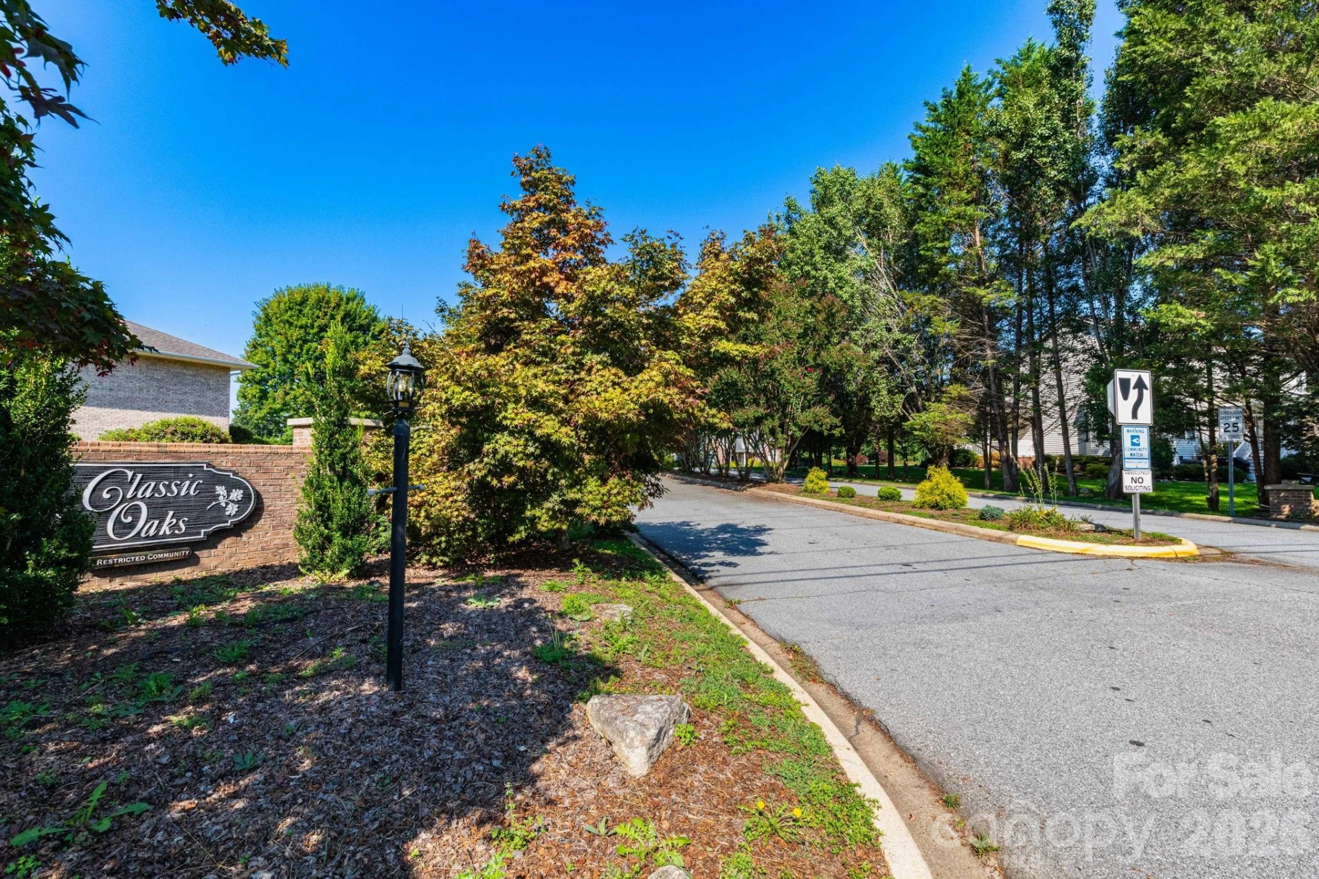 246 Classic Oaks Circle #10 - Photo 2