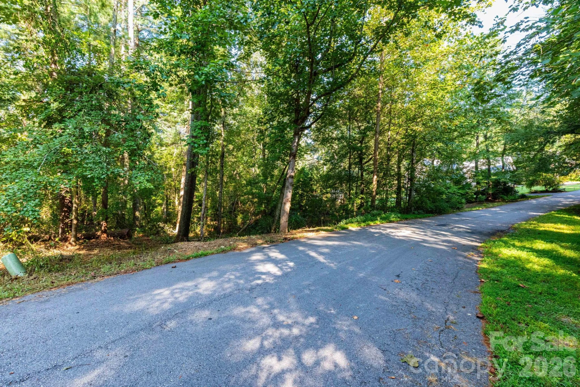 246 Classic Oaks Circle #10 - Photo 4