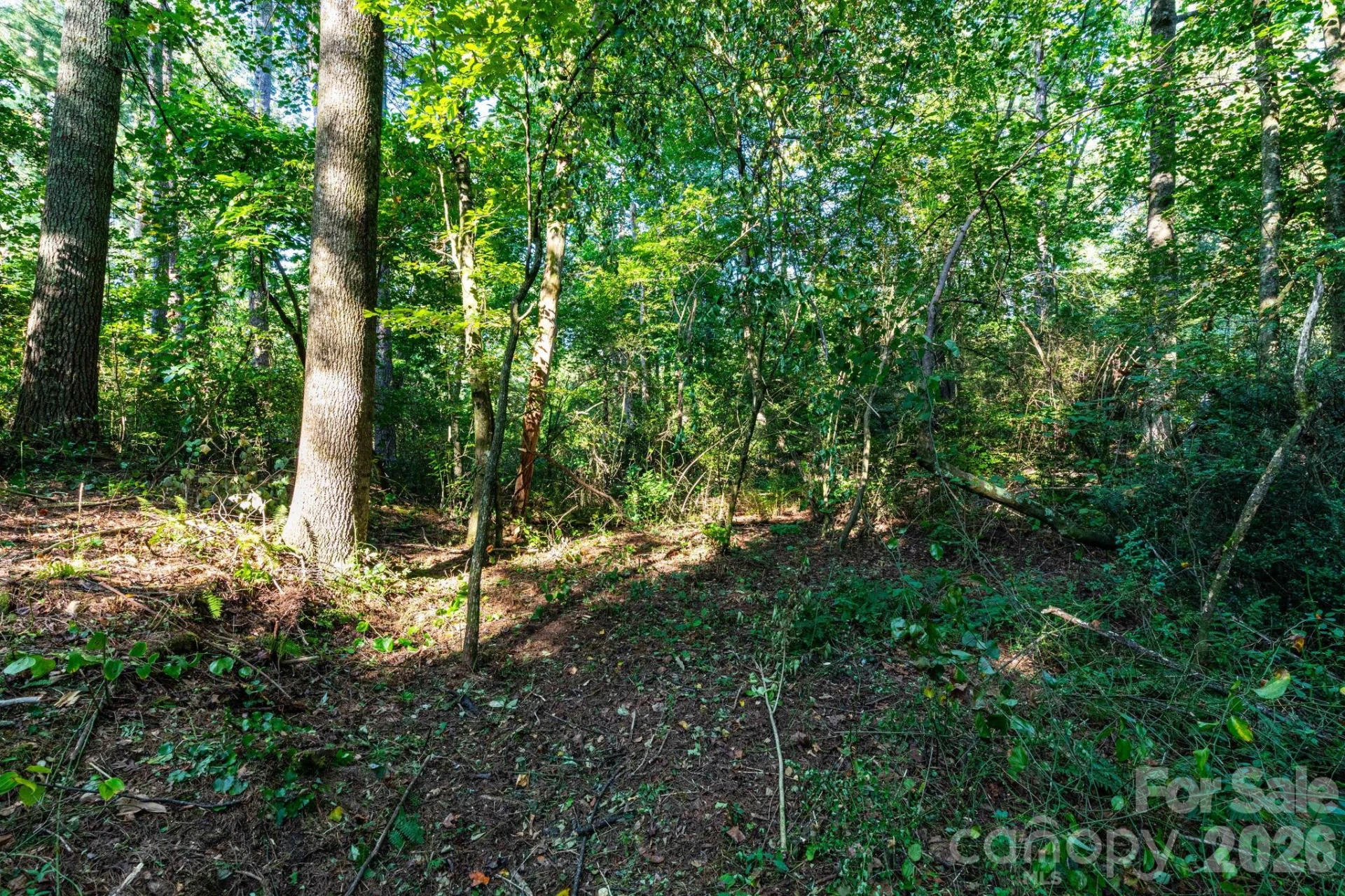 246 Classic Oaks Circle #10 - Photo 5