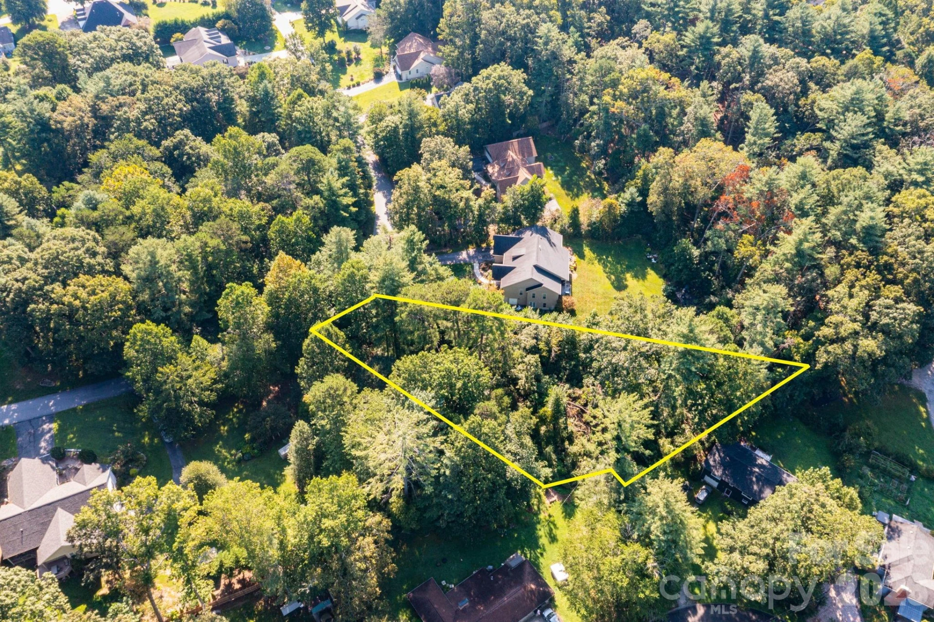 246 Classic Oaks Circle #10 - Photo 8
