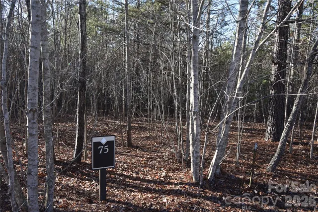 Lot 75 Tayberry Drive, Nebo, NC, 28761