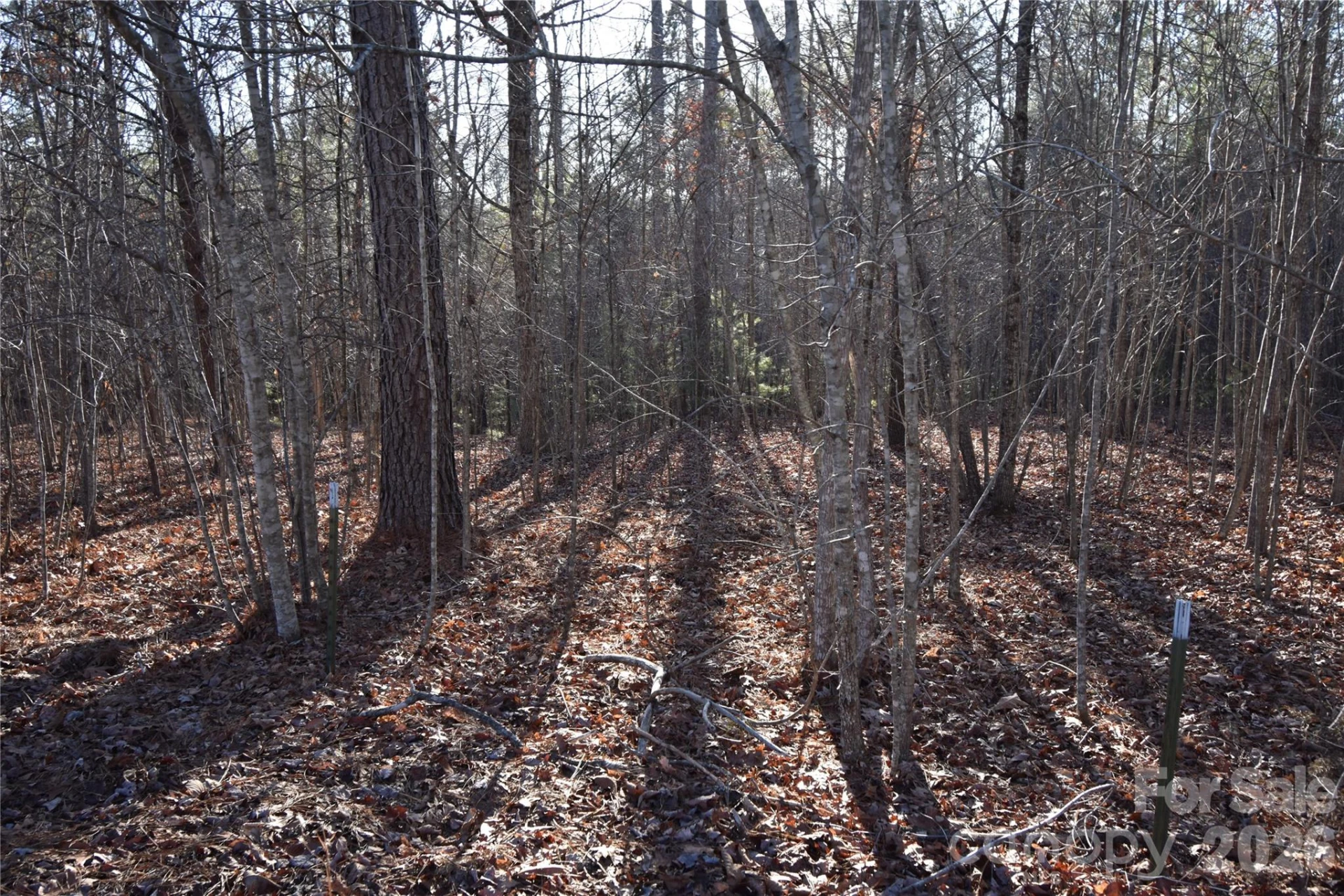 Lot 75 Tayberry Drive - Photo 3