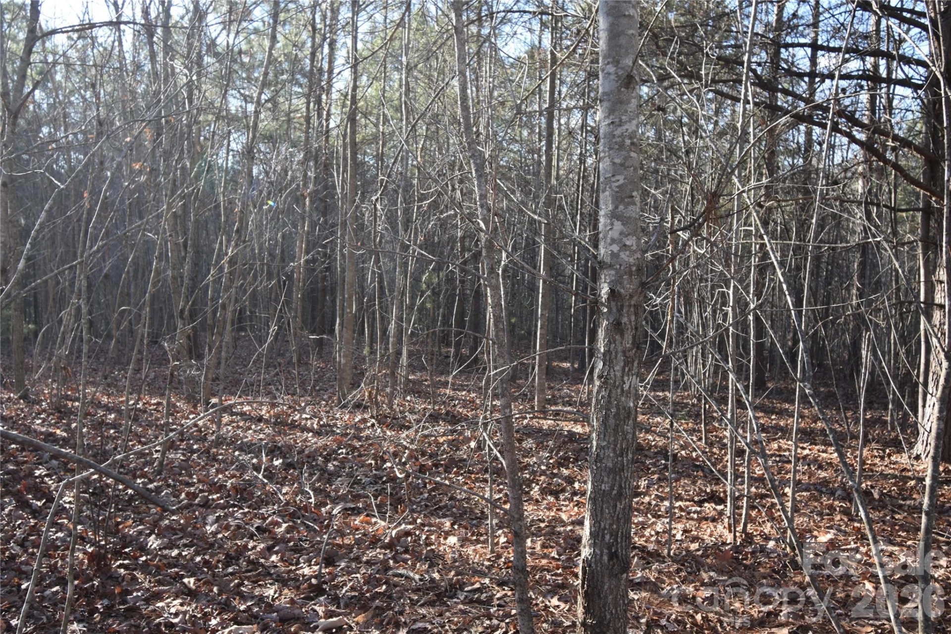 Lot 75 Tayberry Drive - Photo 4