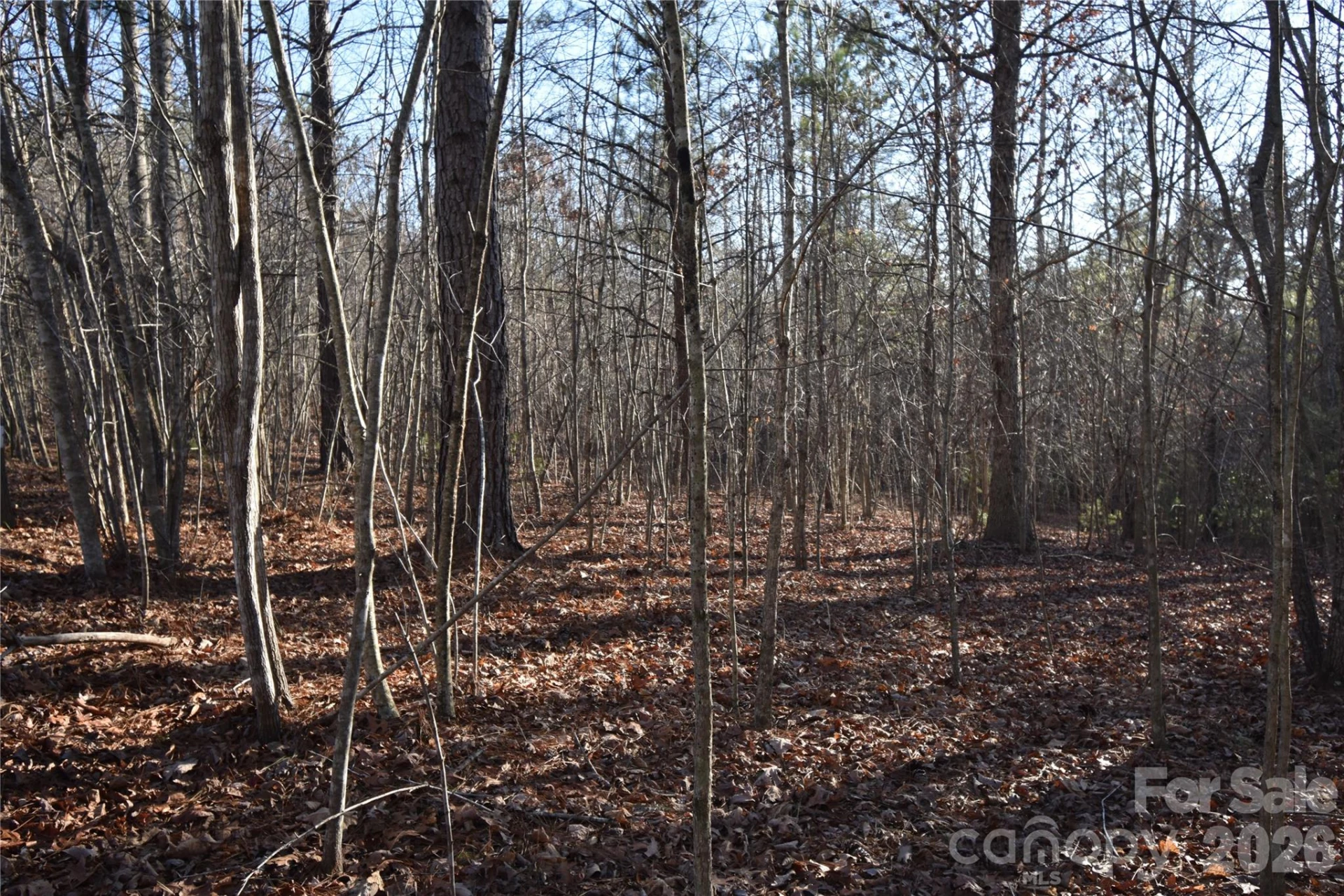 Lot 75 Tayberry Drive - Photo 6