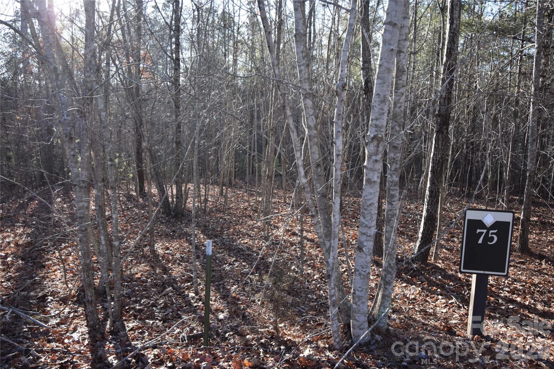 Lot 75 Tayberry Drive - Photo 8