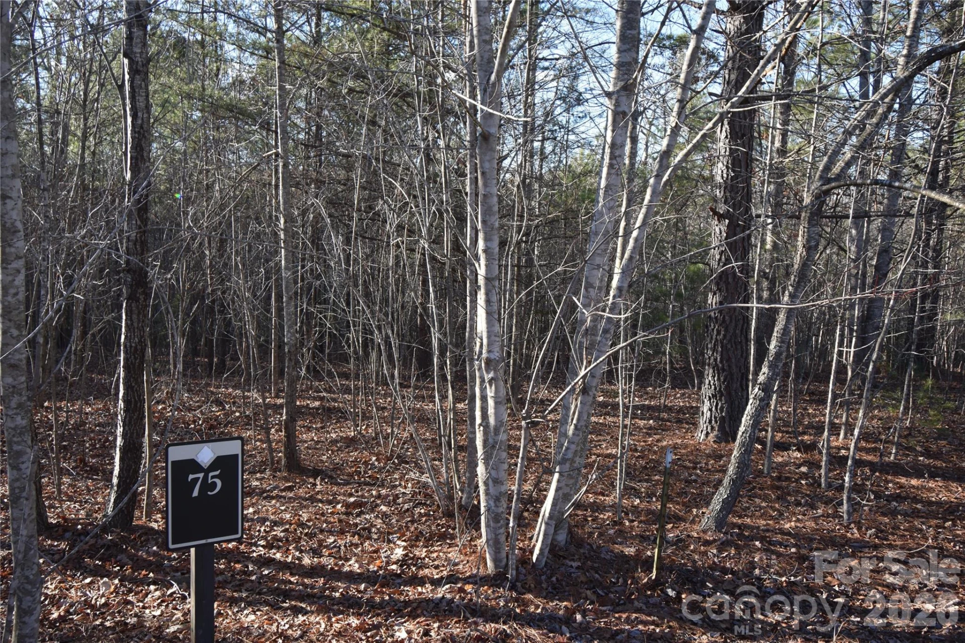 Lot 75 Tayberry Drive - Photo 9