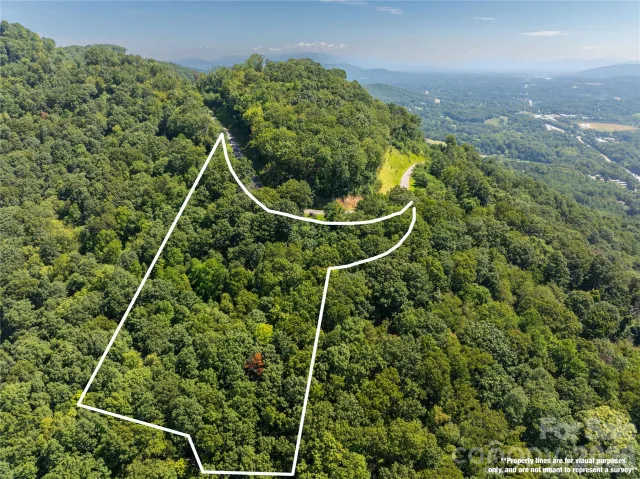 Lot 22 Lovebird Lane