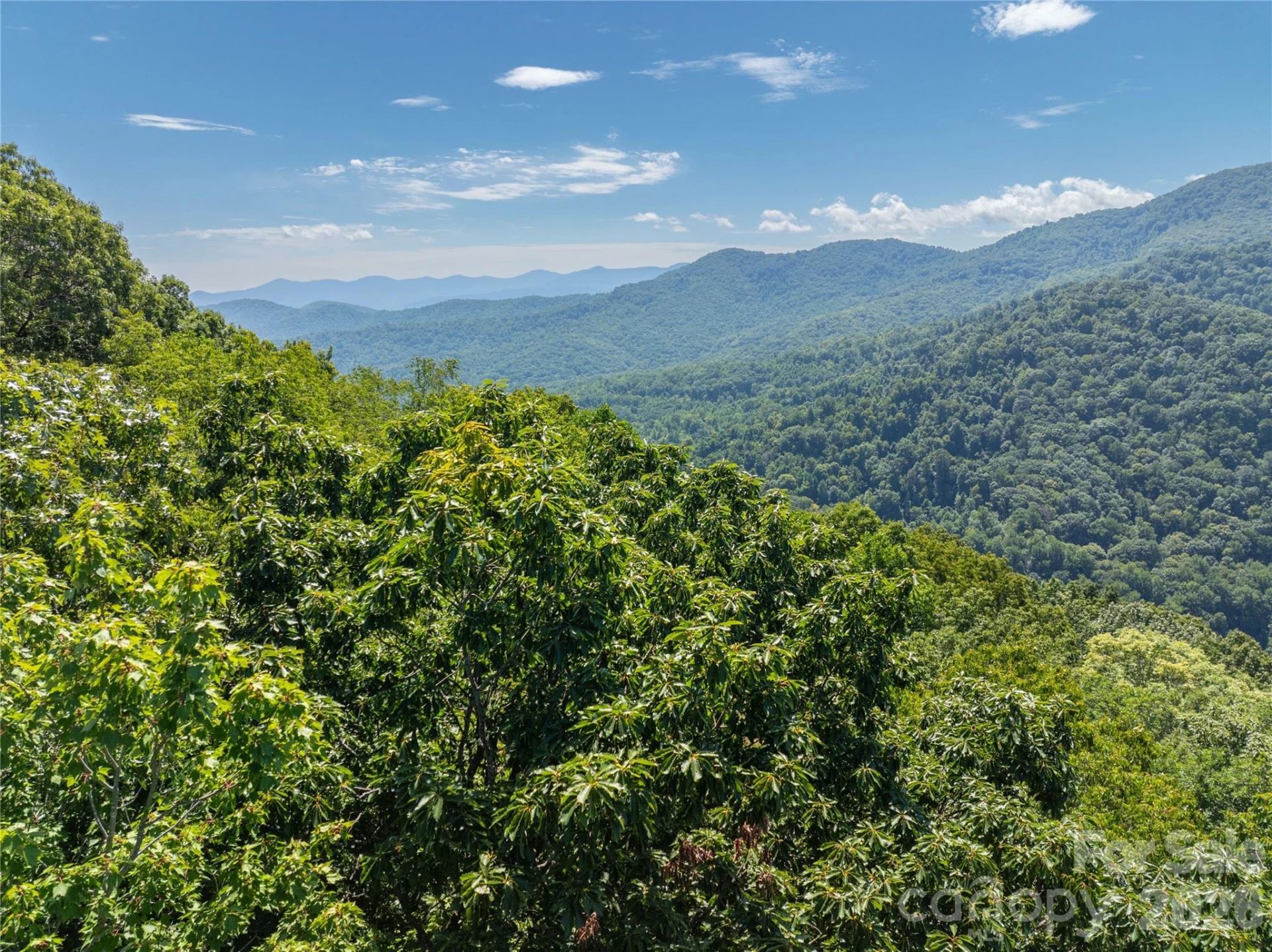 Lot 22 Lovebird Lane - Photo 2