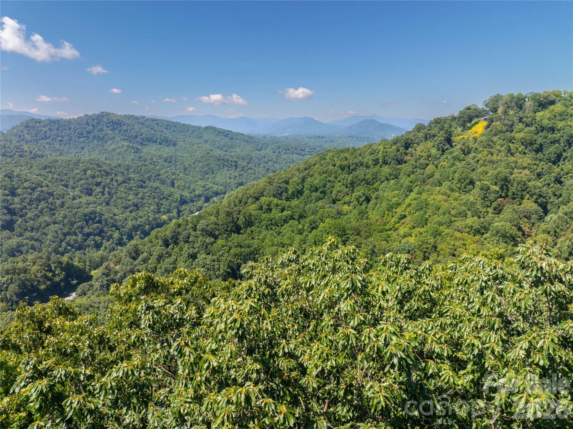 Lot 22 Lovebird Lane - Photo 3
