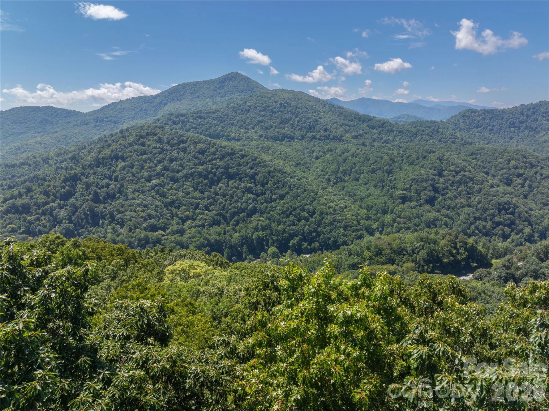 Lot 22 Lovebird Lane - Photo 4