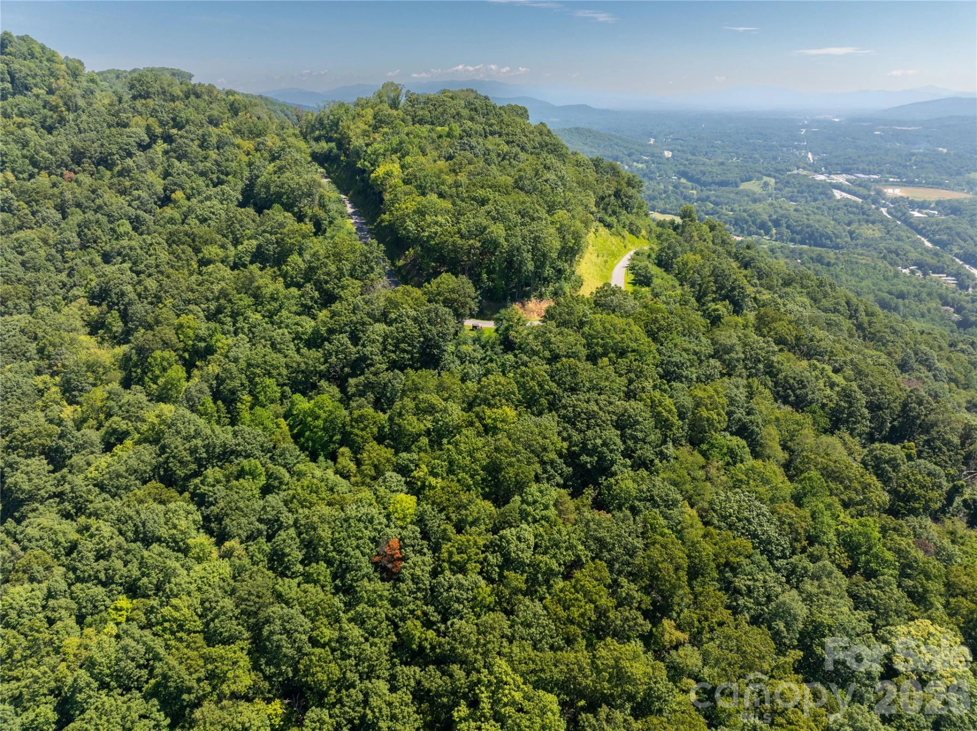 Lot 22 Lovebird Lane - Photo 6