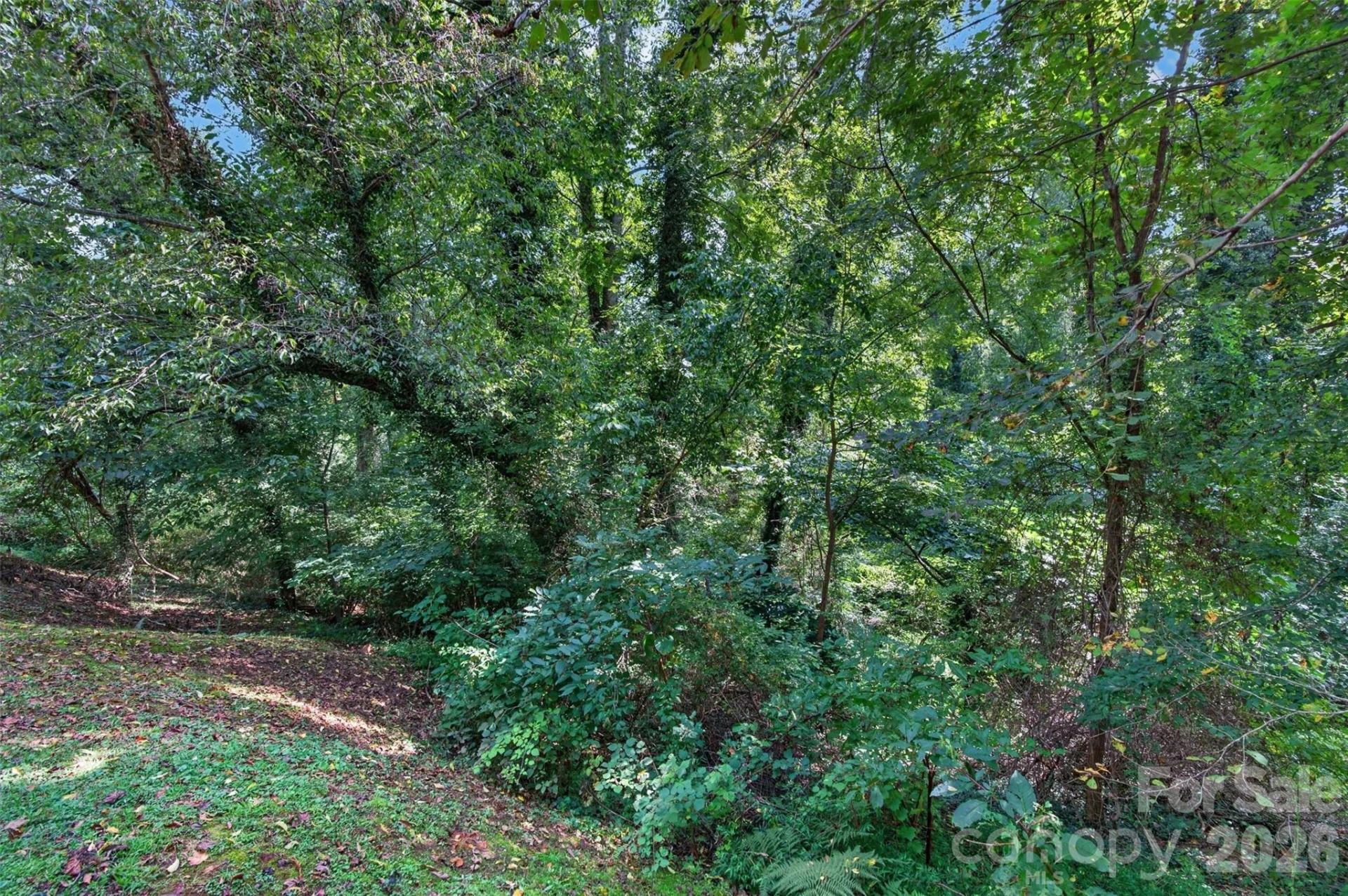 134 Shelburne Road - Photo 37