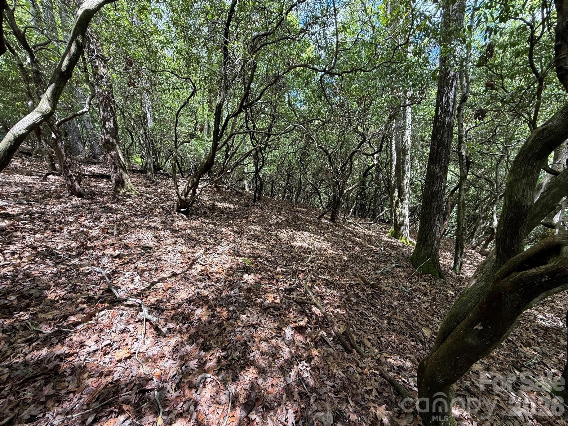 TBD Tellico Trail #42/22 - Photo 2