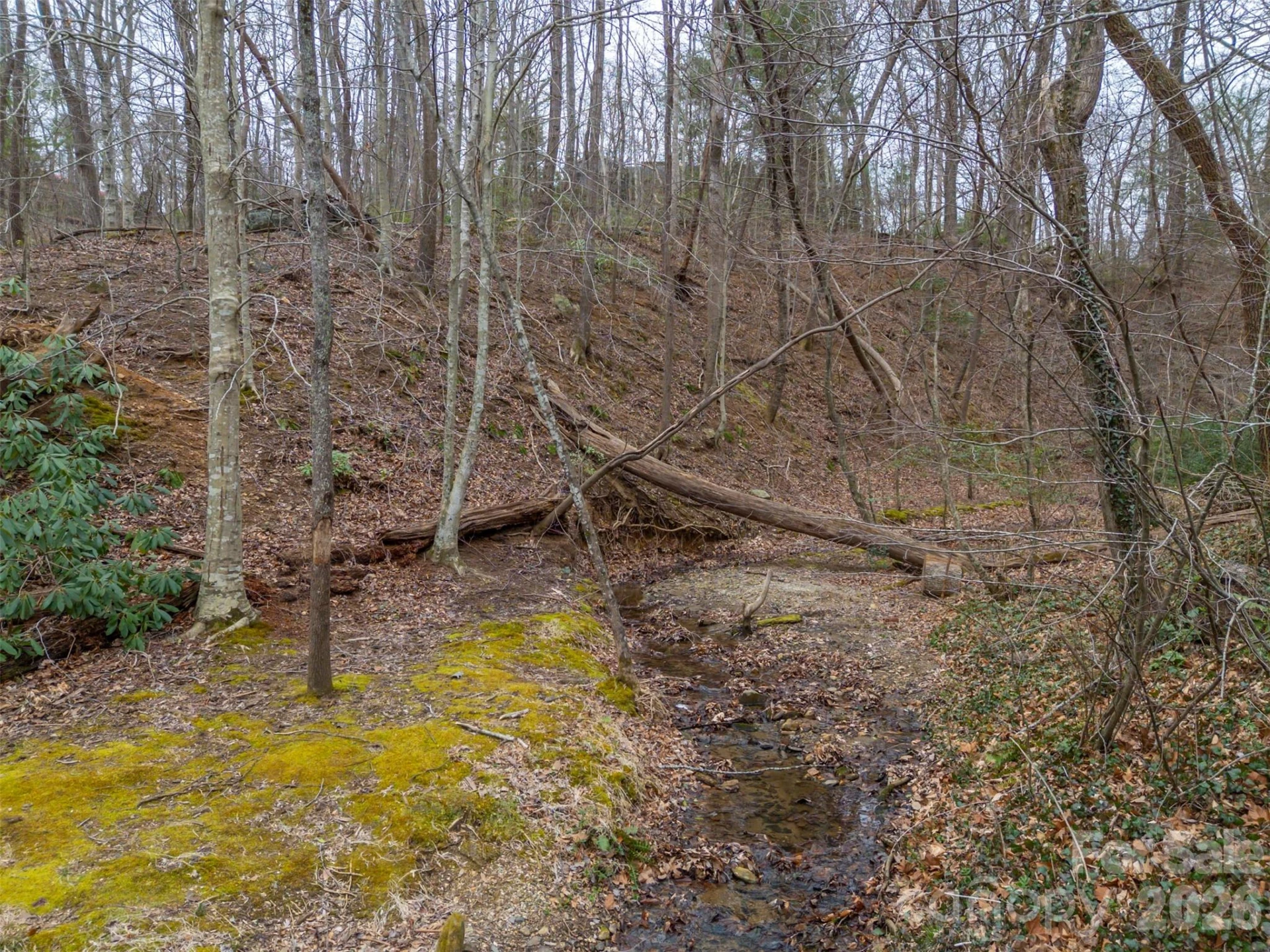 15 Meadowlark Drive - Photo 40