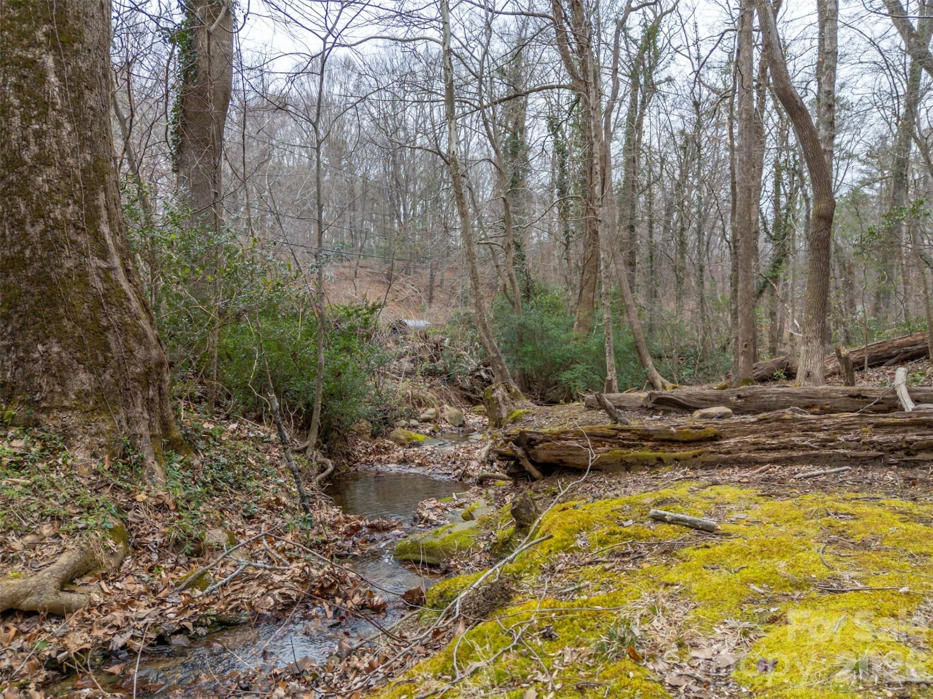 15 Meadowlark Drive - Photo 42