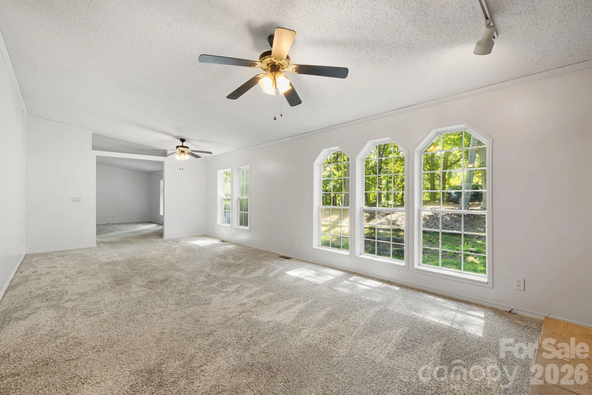 45 Shelby Road - Photo 14