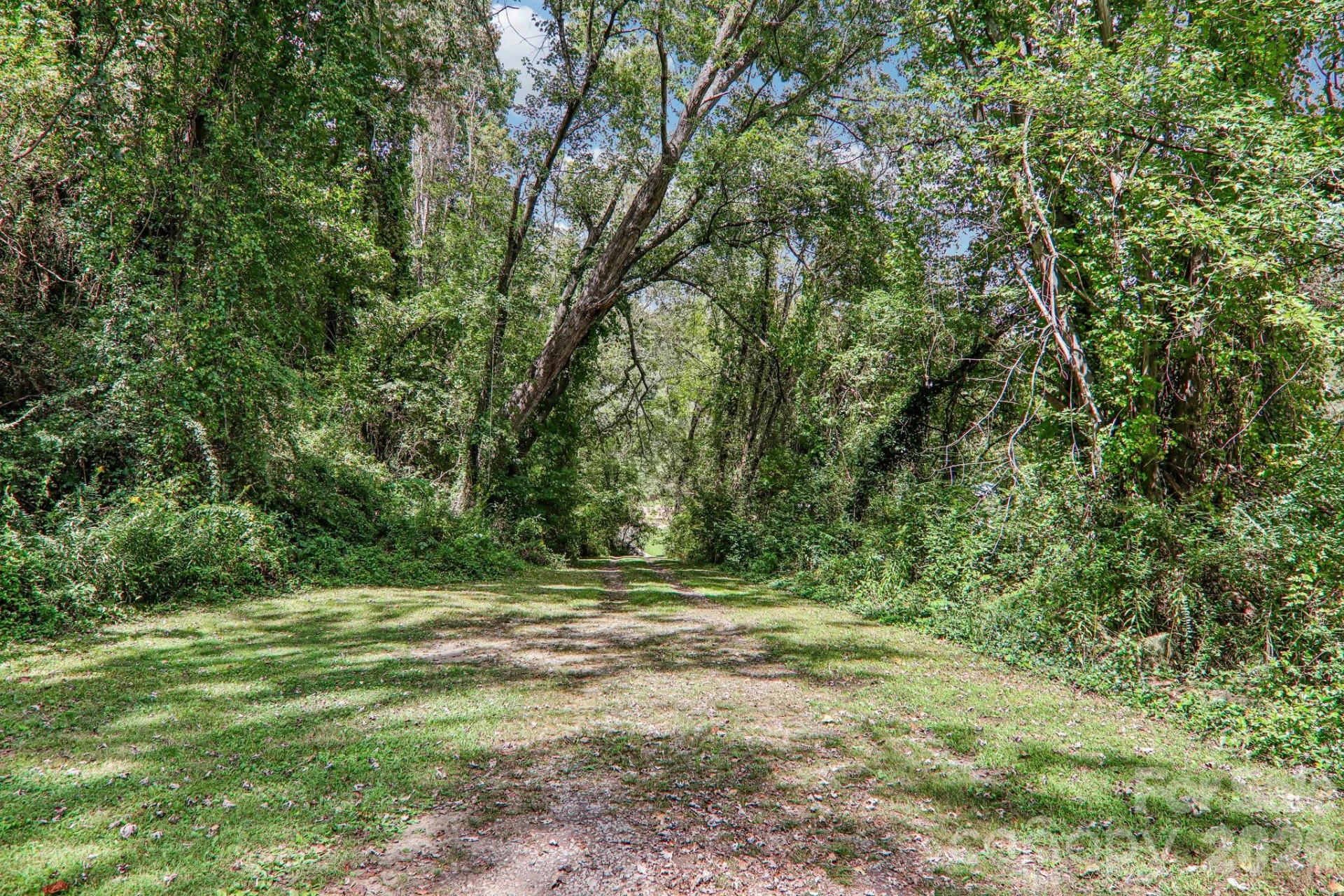 418 Sharptown Road - Photo 43