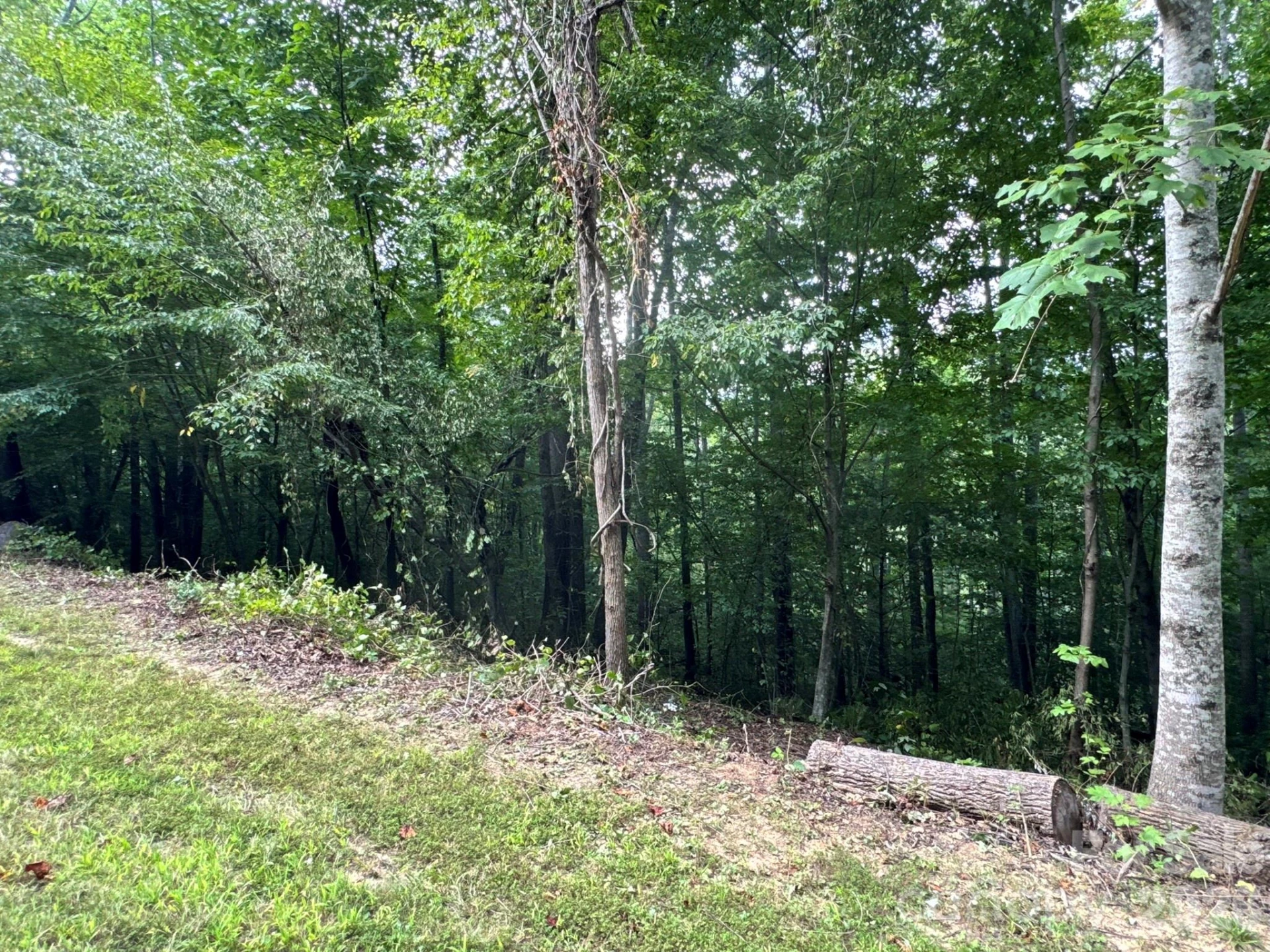 19 Garren View Drive - Photo 11