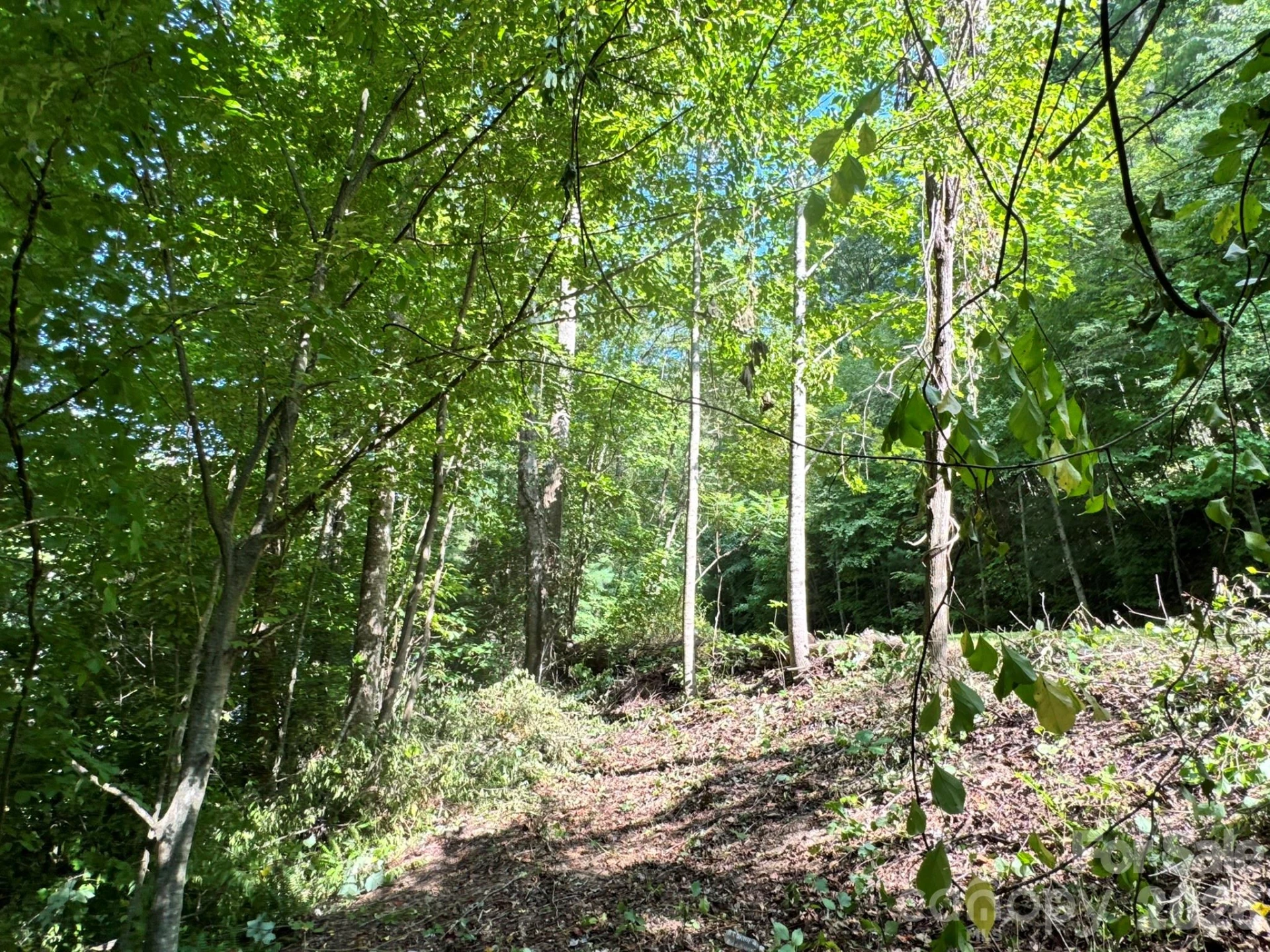 19 Garren View Drive - Photo 12