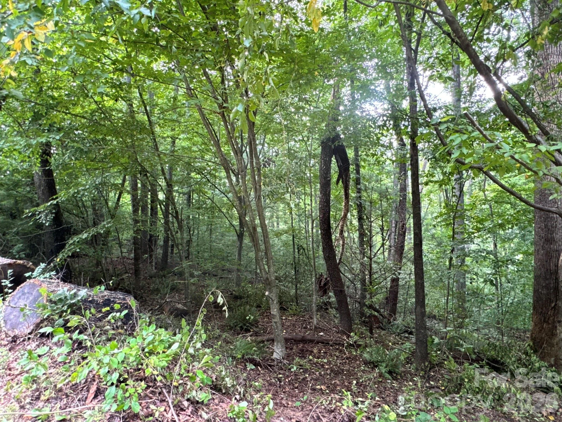 19 Garren View Drive - Photo 13