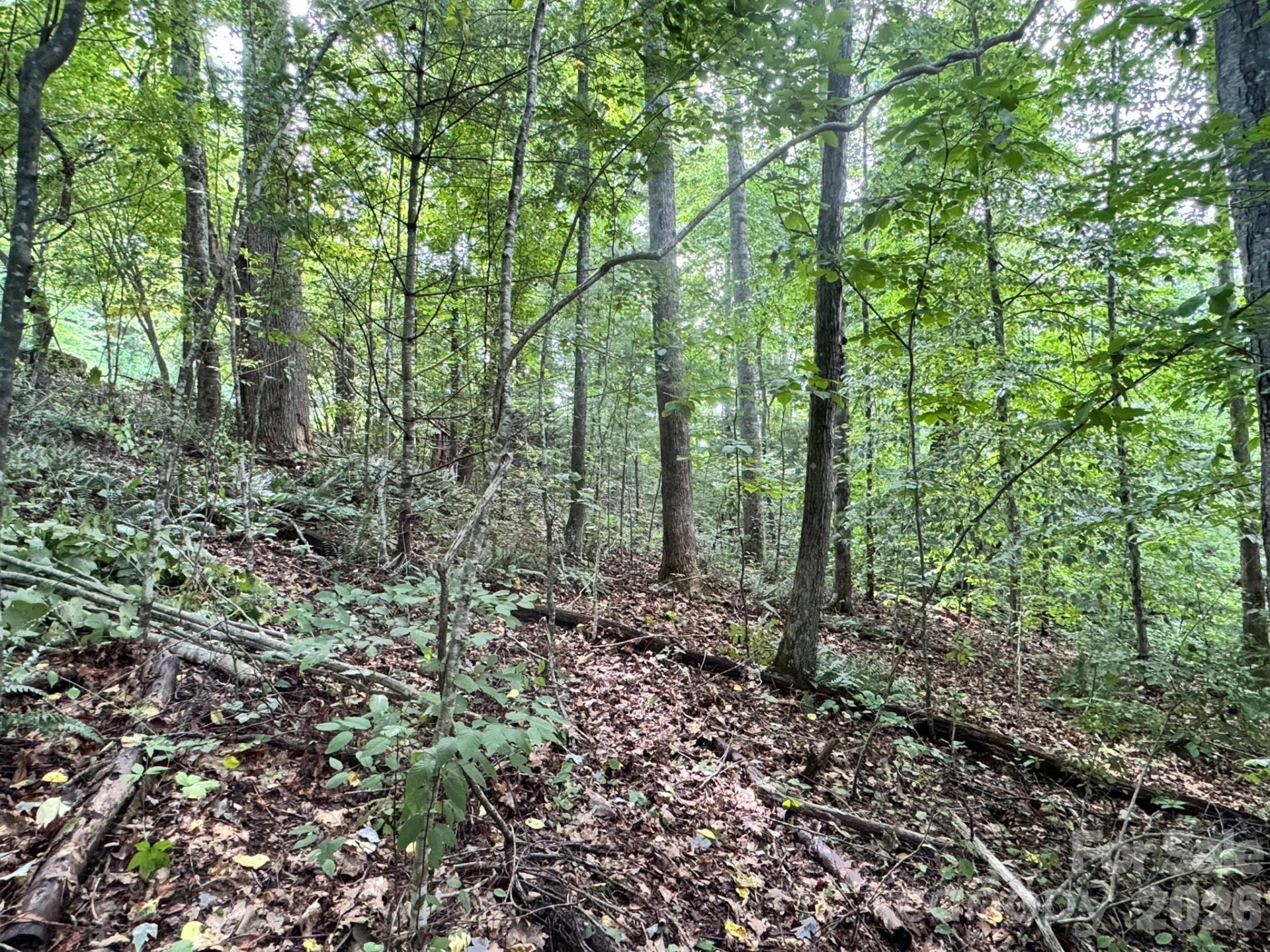 19 Garren View Drive - Photo 14