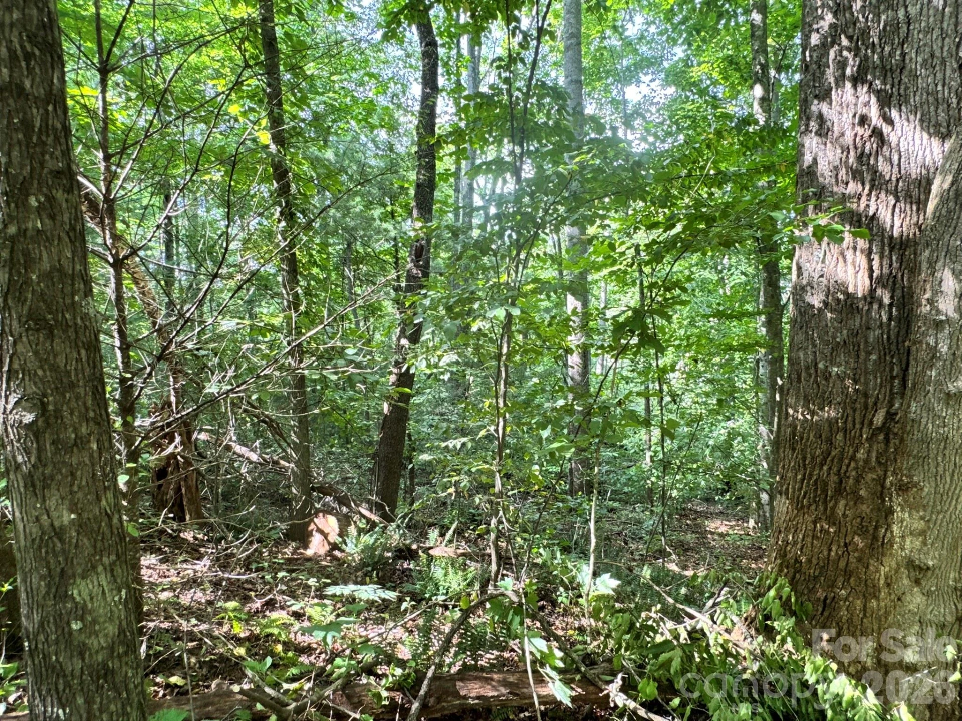 19 Garren View Drive - Photo 22