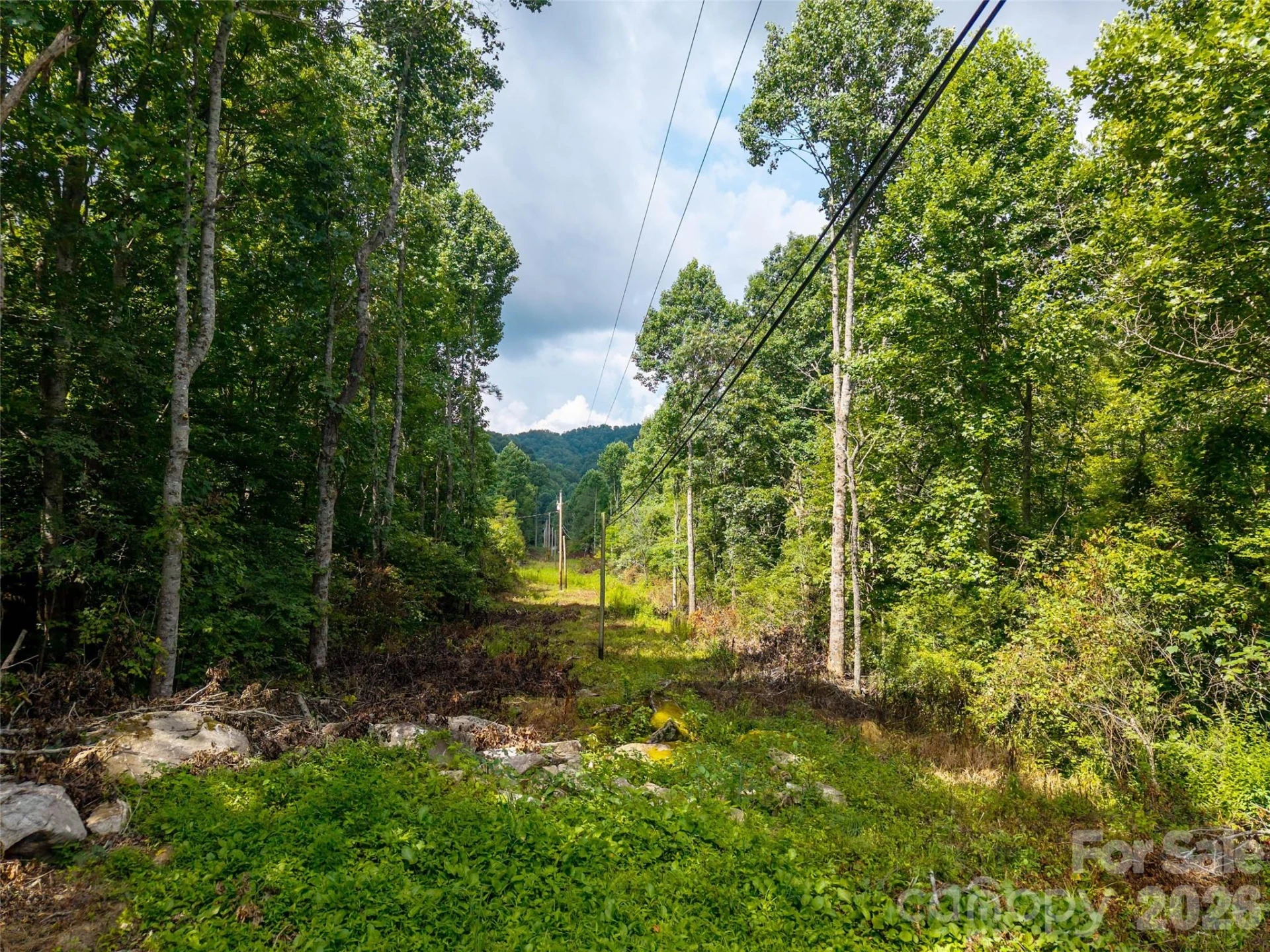 00 Sugar Cove Road - Photo 4
