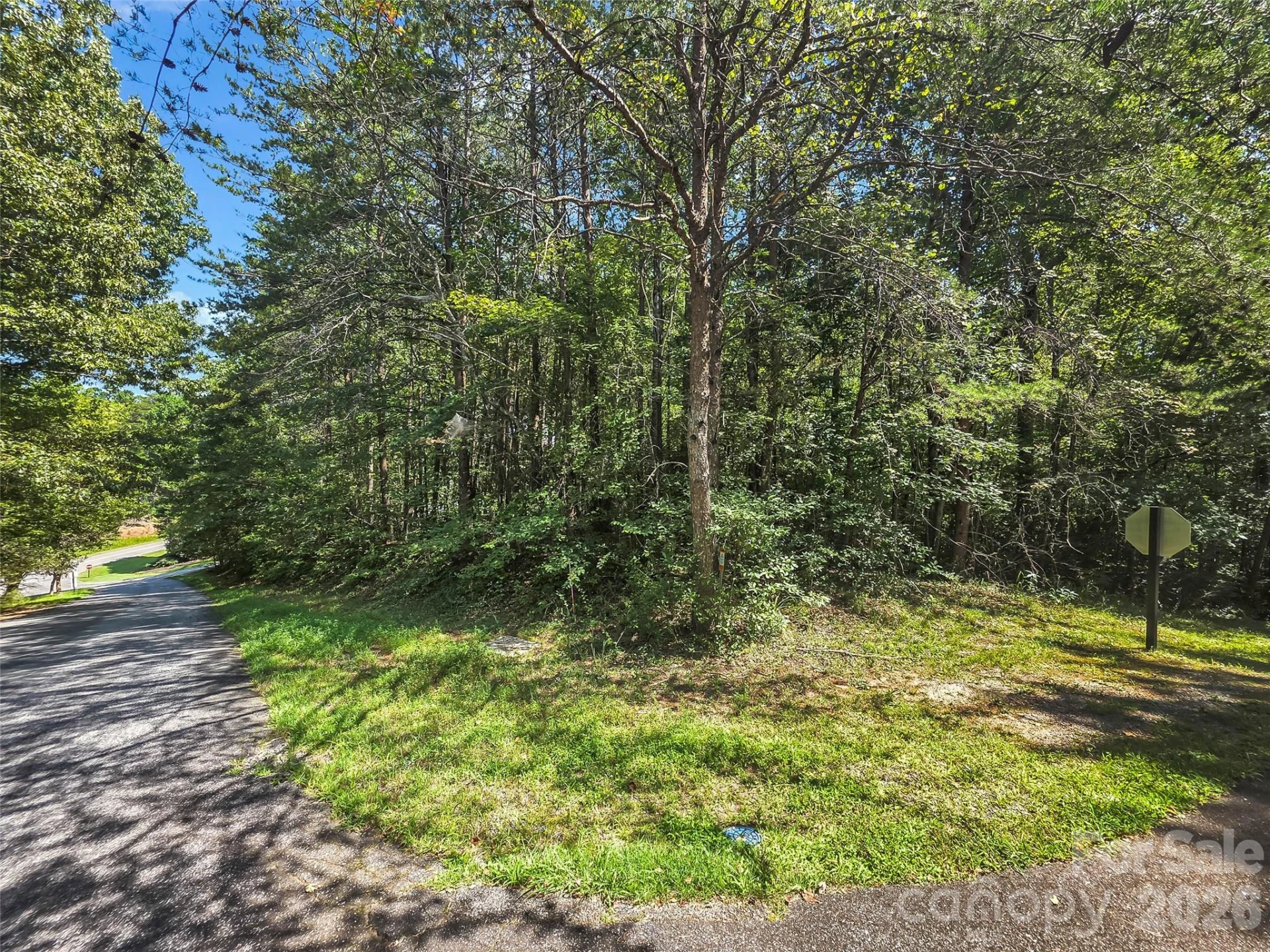 0 Shumont Estates Drive #1 - Photo 4